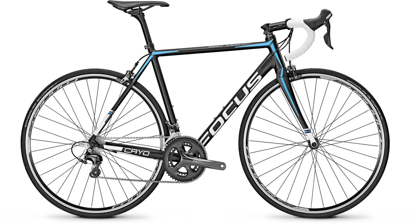 Focus cayo carbon tiagra outlet